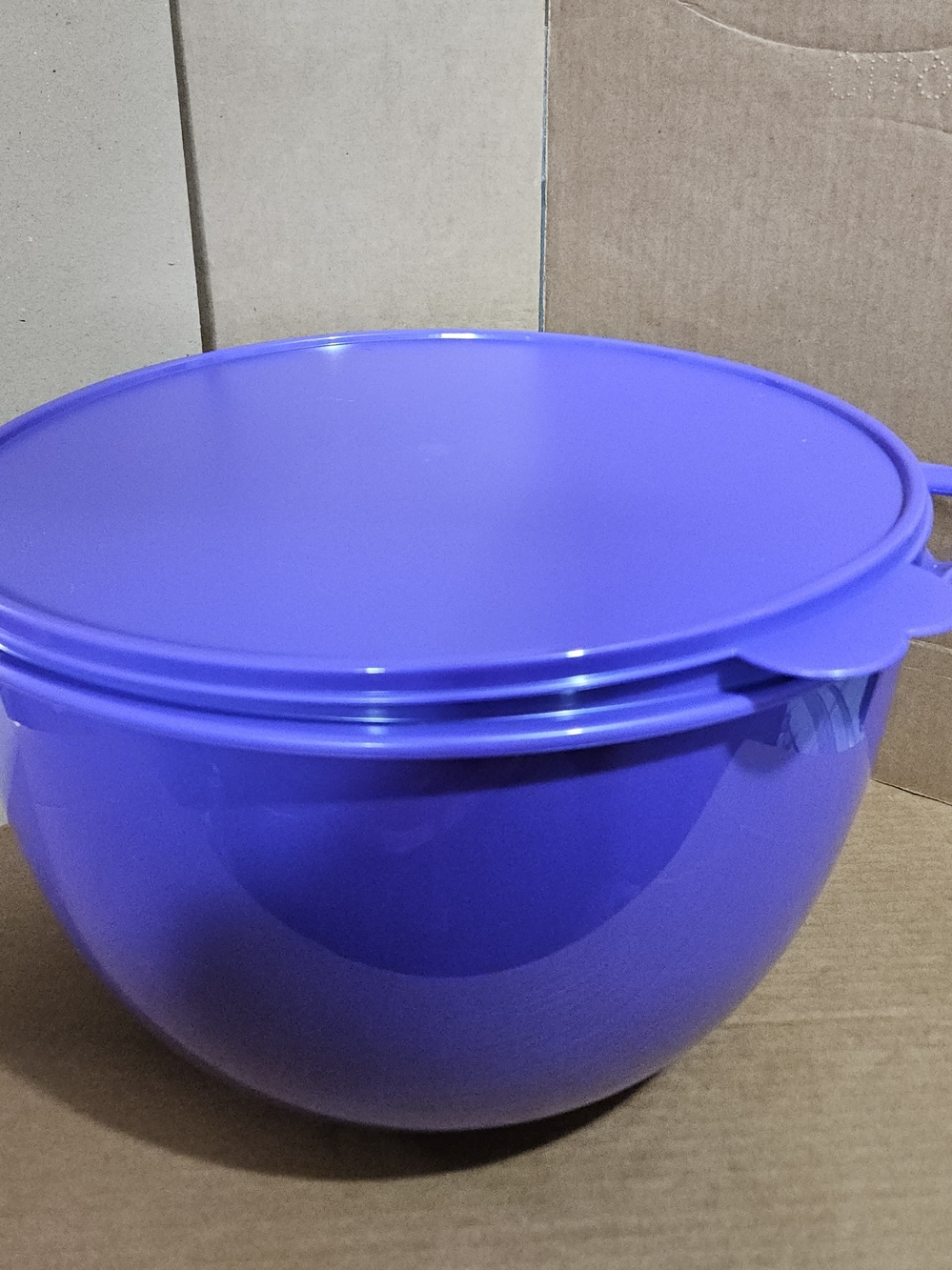 Tupperware Jumbo Thatsa Bowl